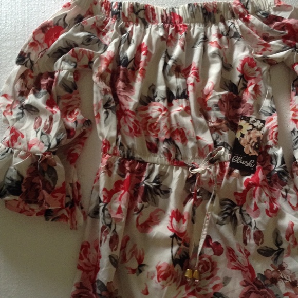 Hint of Blush  Off The Shoulder Angel Sleeve Dress - Picture 6 of 8